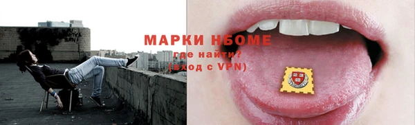 стафф Новодвинск