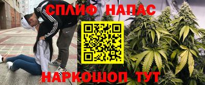 стаф Апшеронск