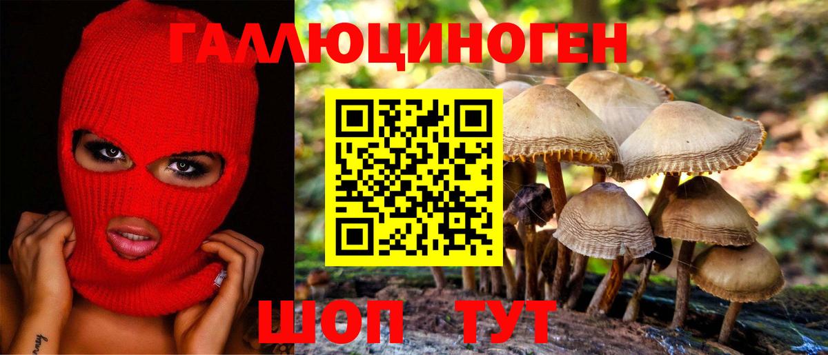 Галлюциногенные грибы мицелий Лениногорск