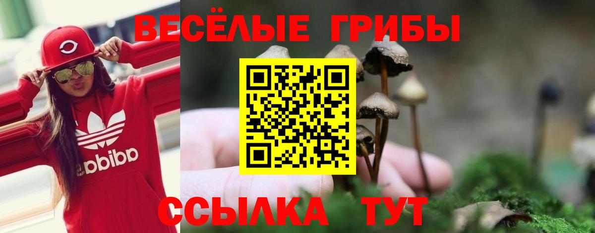 Псилоцибиновые грибы ЛСД  Вход с VPN  Лениногорск 